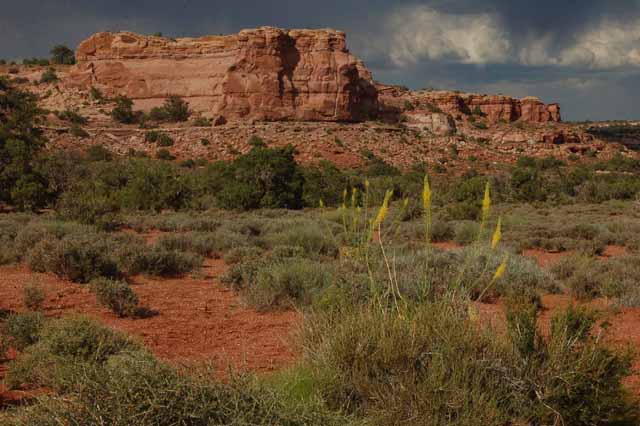 at the Green River Overlook